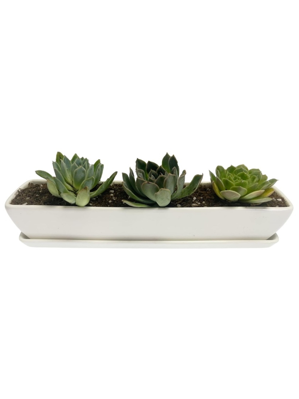 11” White Ceramic Rectangular Succulent Planter with Tray